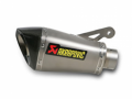 Akrapovic Auspuff BMW S1000R/RR 