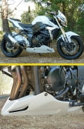 Bugspoiler GSR750